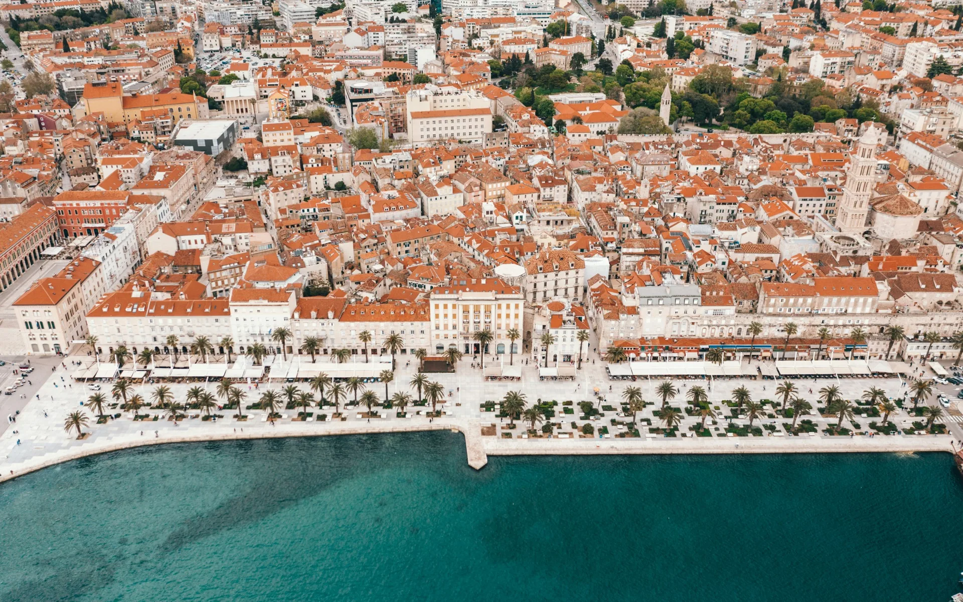 Split waterfront with ferry boats and palm-lined promenade