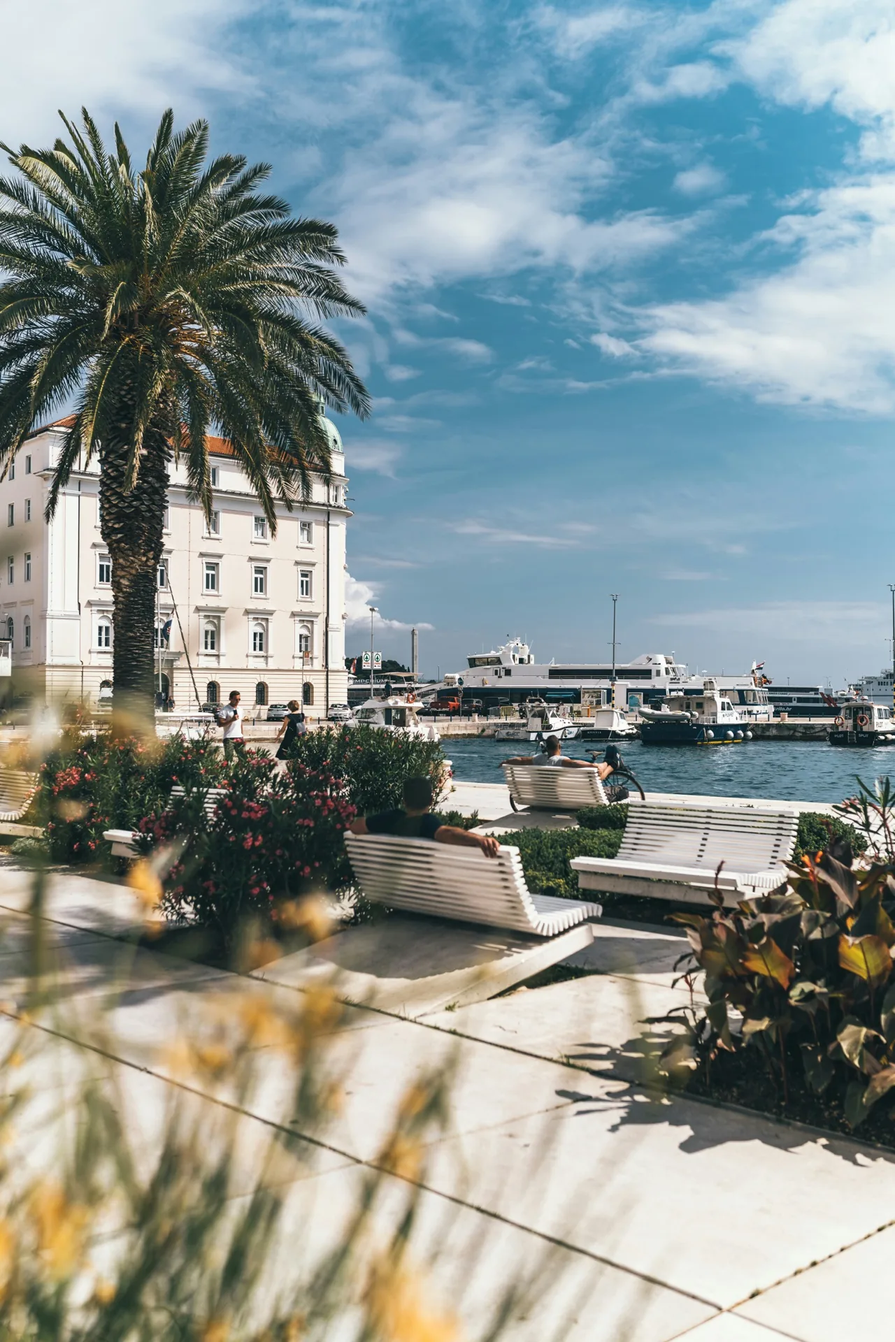 Split waterfront with ferry boats and palm-lined promenade