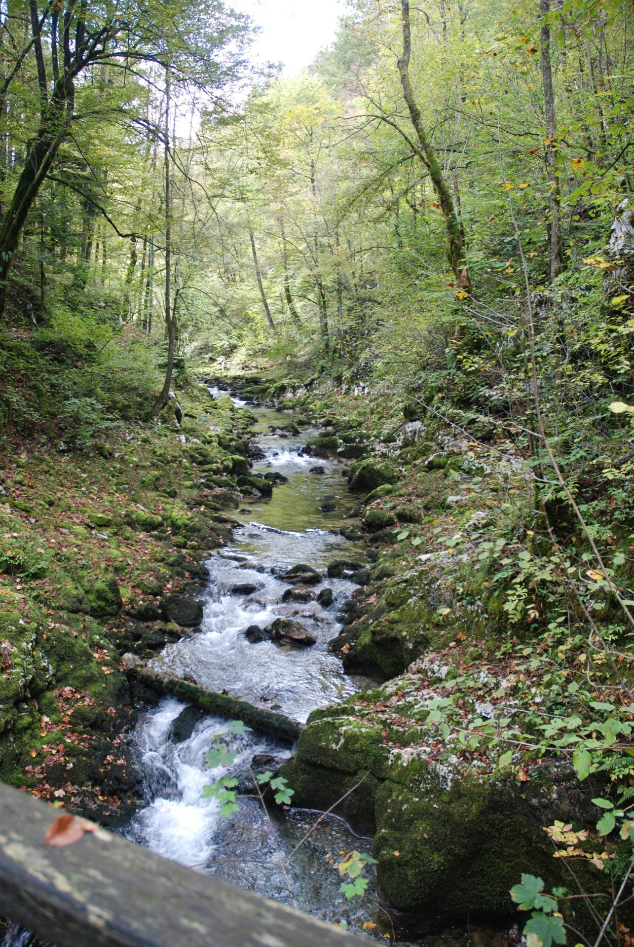 Hidden nature route in Croatia